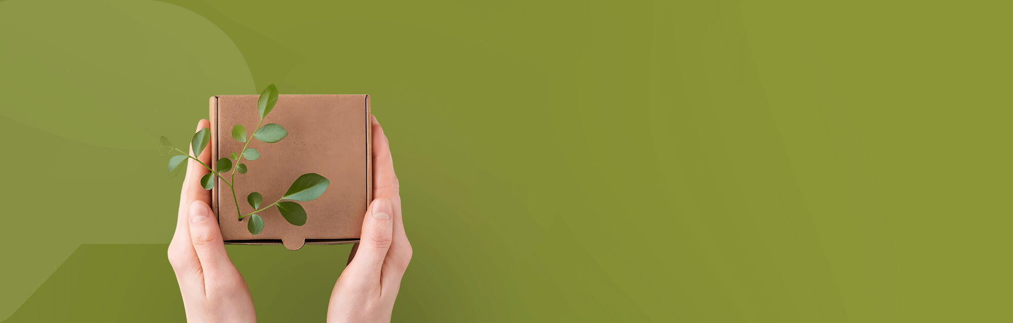 Hero banner for PackQueen Shopify migration and redesign featuring packaging box held in hands highlighting the shift from a restrictive system to a flexible Shopify store with custom features, faster speed, and refreshed brand presence